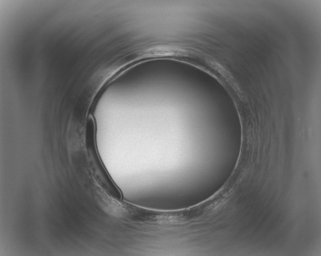 X0000057561465200509160757
