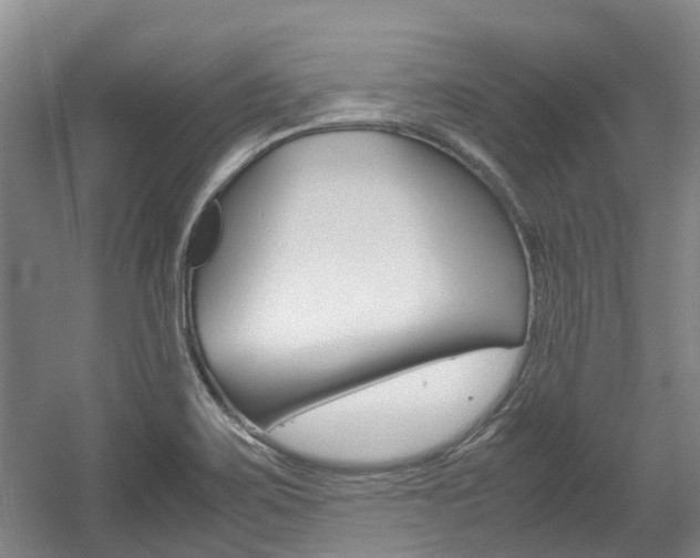 X0000057561467200509160757