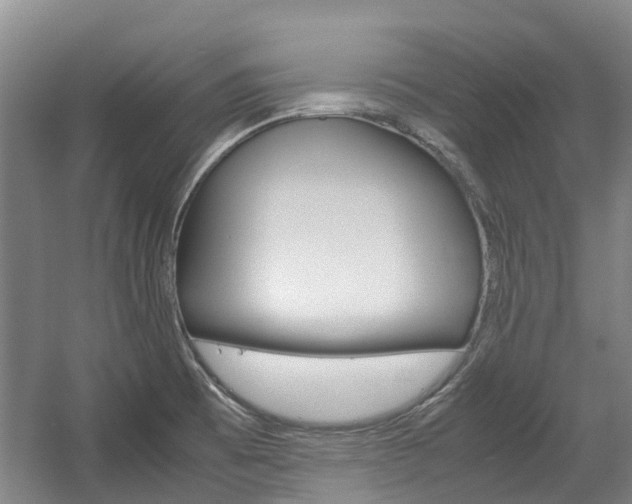 X0000057561473200509160757