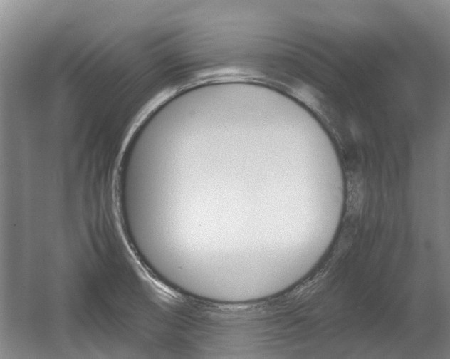 X0000057561474200509160757