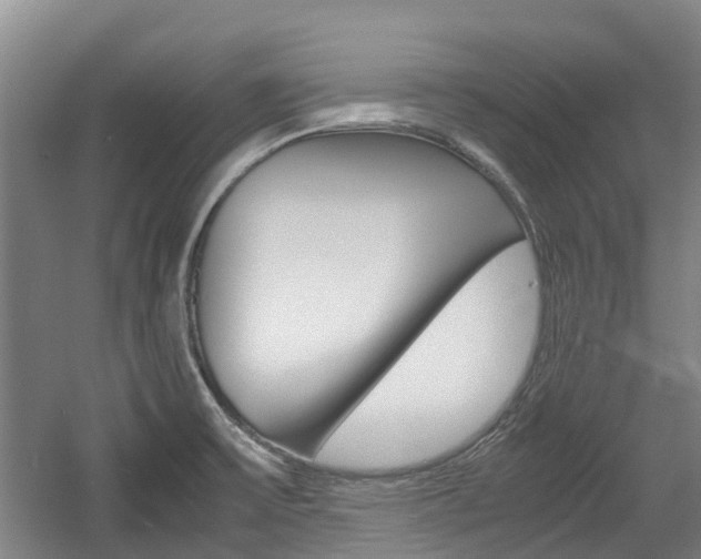X0000057561475200509160757