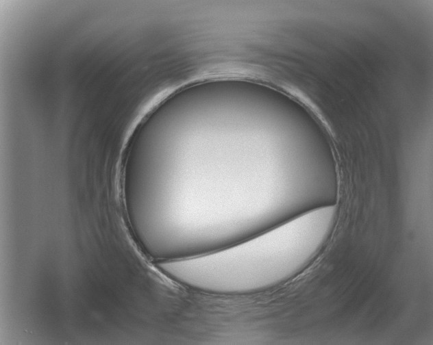 X0000057561477200509160757