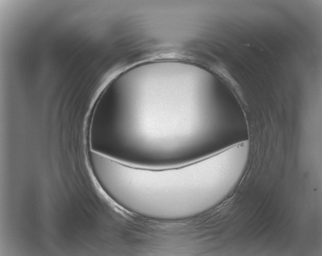 X0000057561483200509160757