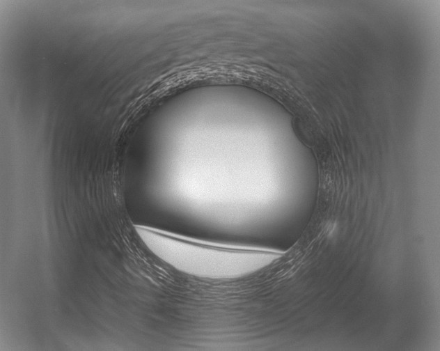 X0000057561490200509160756