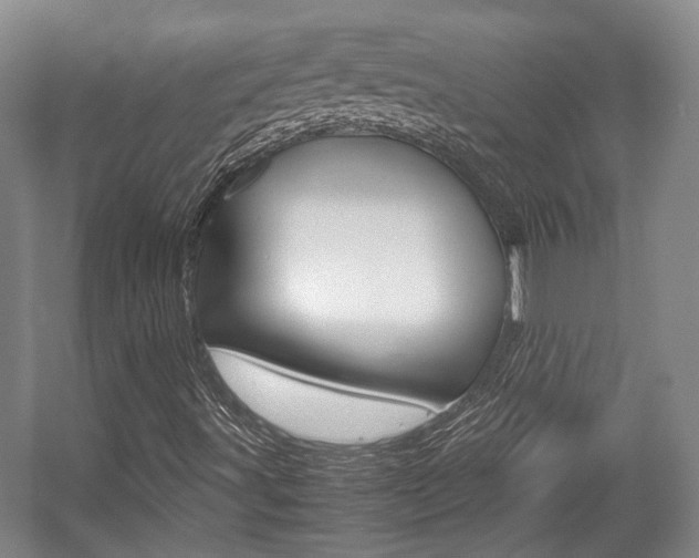 X0000057561491200509160756