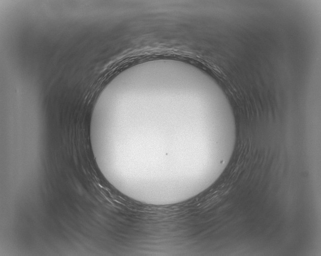 X0000057561492200509160756