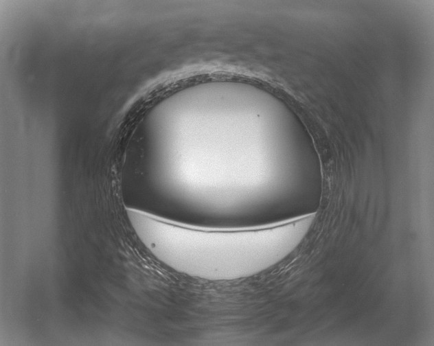 X0000057561495200509160756