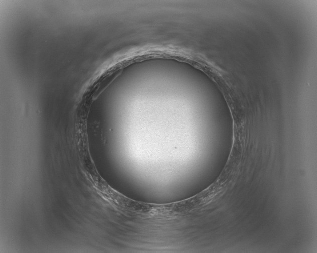 X0000057561496200509160756