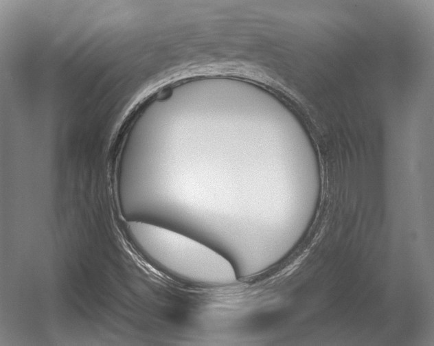 X0000057561498200509160756