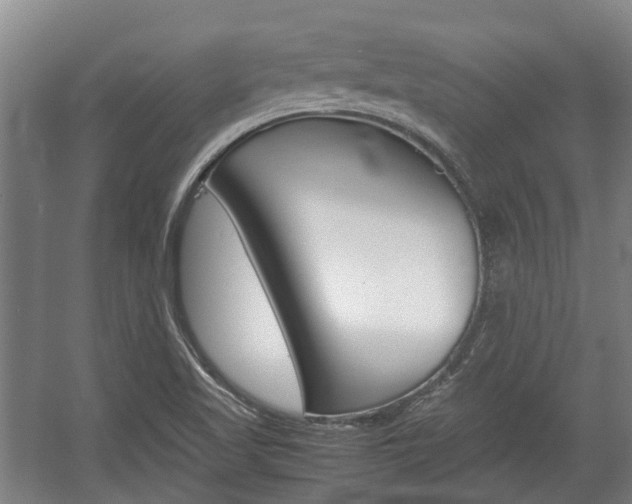X0000057561509200509160757