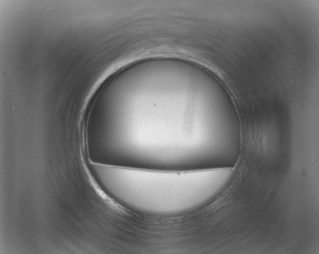 X0000057561515200509160757