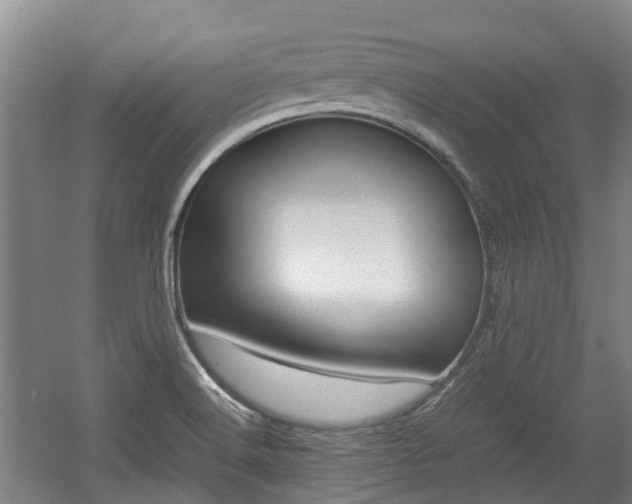 X0000057561516200509160757