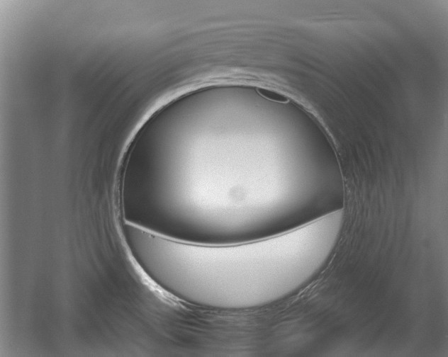 X0000057561531200509160757
