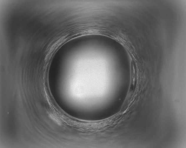 X0000057560001200509161015