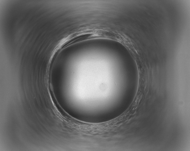 X0000057560003200509161015