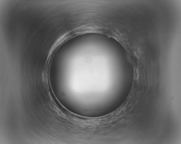 X0000057560004200509161015