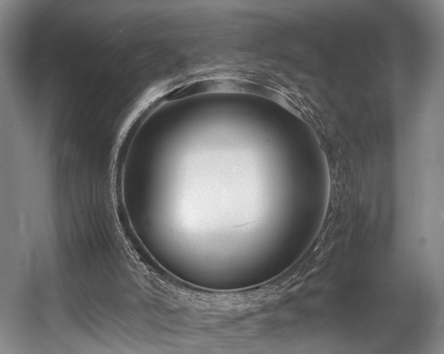 X0000057560006200509161015