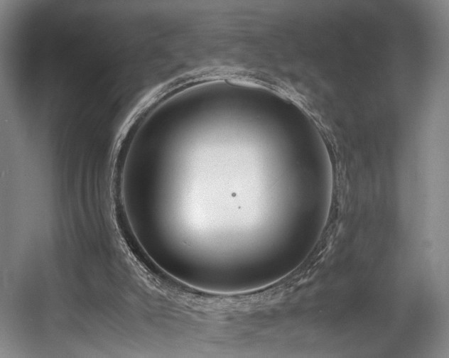 X0000057560007200509161015