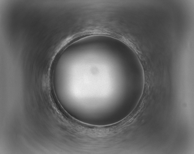X0000057560008200509161015