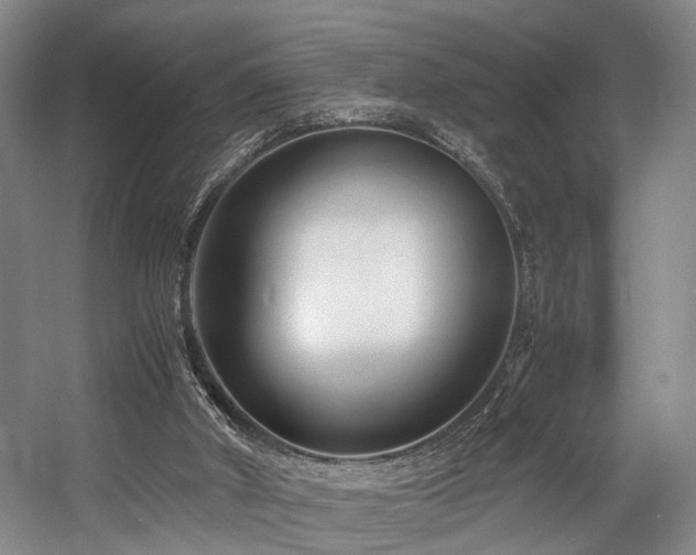 X0000057560010200509161015