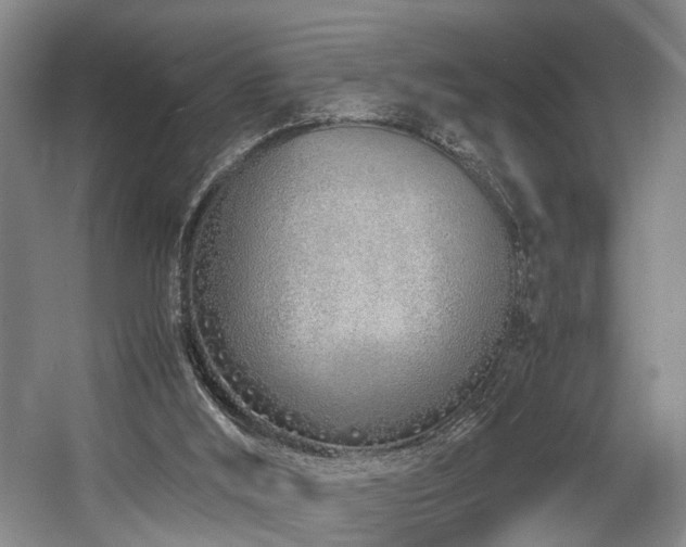 X0000057560012200509161015