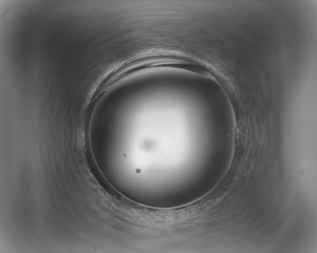 X0000057560015200509161015
