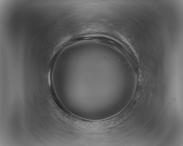 X0000057560019200509161015