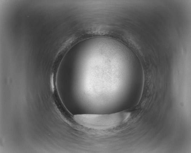 X0000057560020200509161015