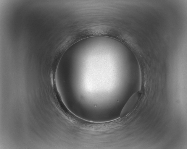 X0000057560021200509161015