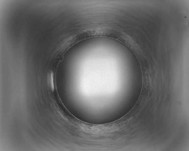 X0000057560022200509161015