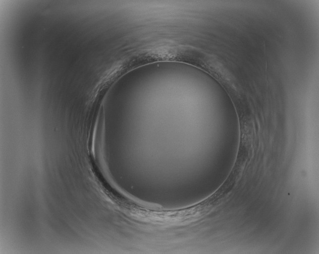 X0000057560023200509161015