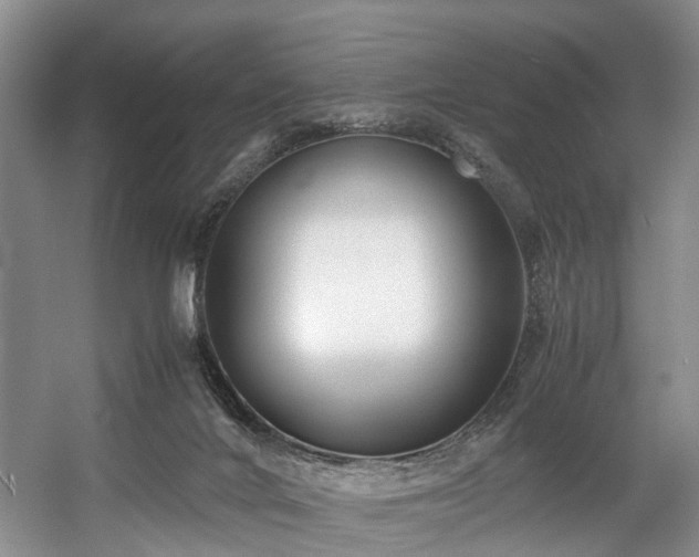 X0000057560024200509161015