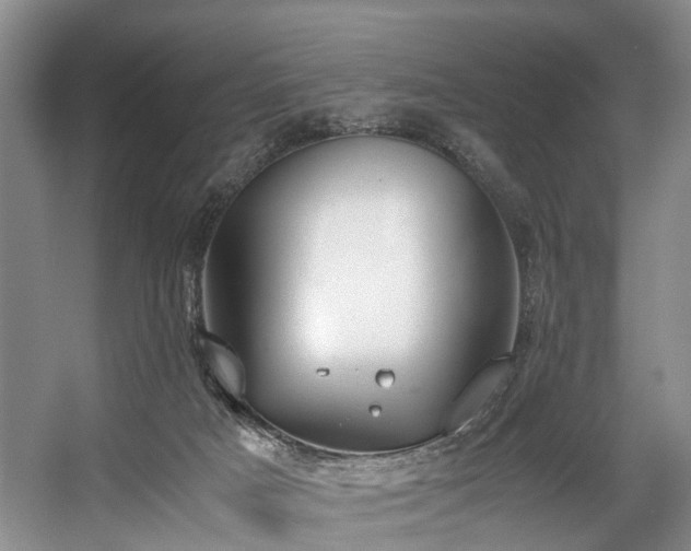X0000057560025200509161015