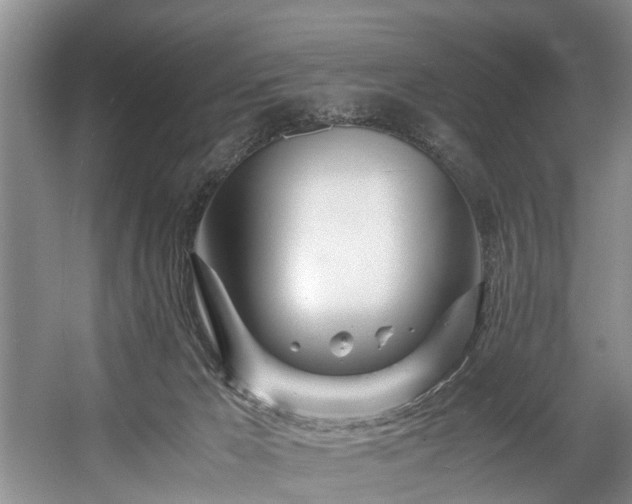 X0000057560029200509161015