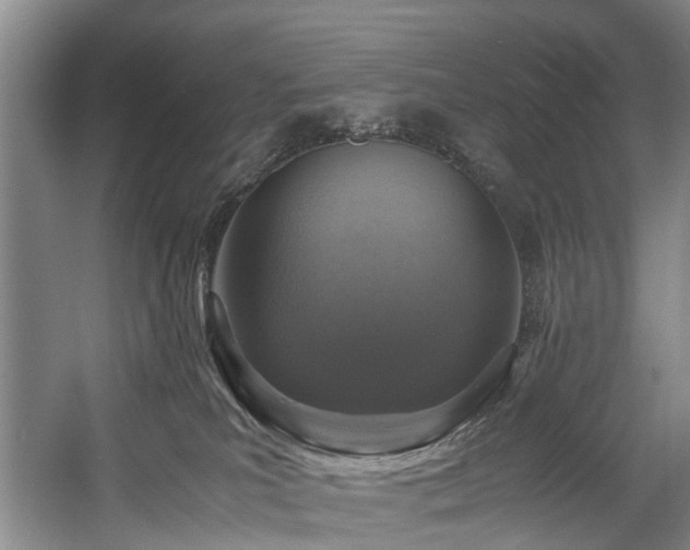 X0000057560039200509161015