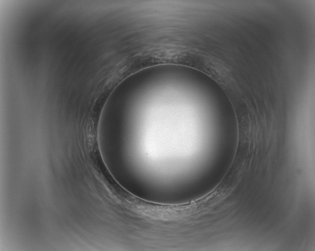 X0000057560040200509161015