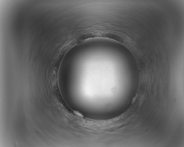X0000057560043200509161015