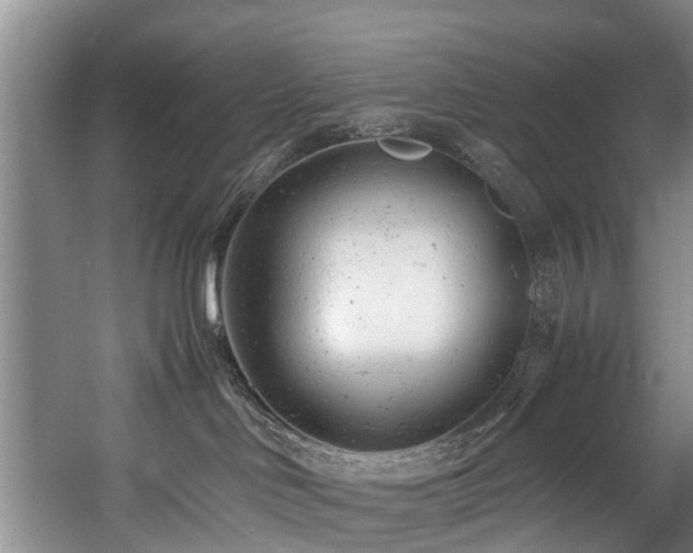 X0000057560046200509161014