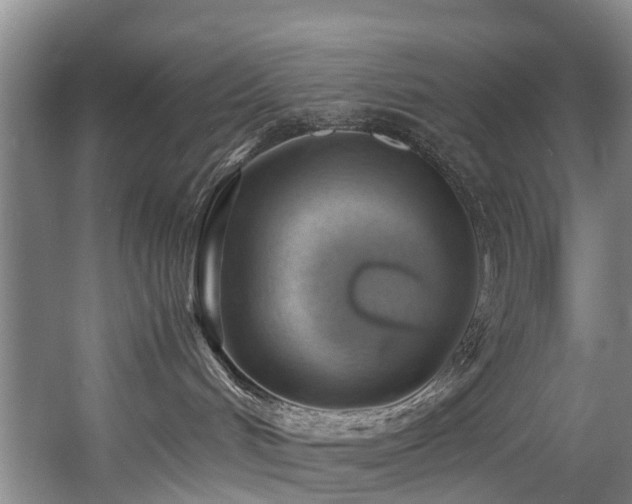 X0000057560048200509161014