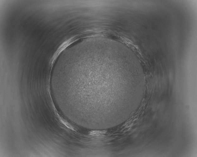 X0000057560051200509161014