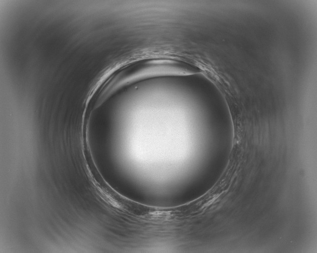 X0000057560052200509161014