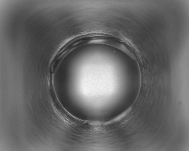 X0000057560060200509161014