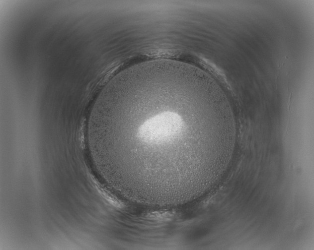 X0000057560065200509161014