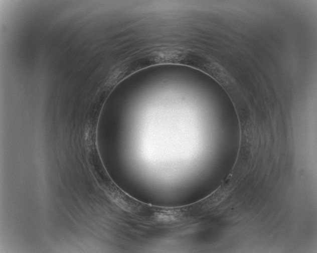 X0000057560079200509161014