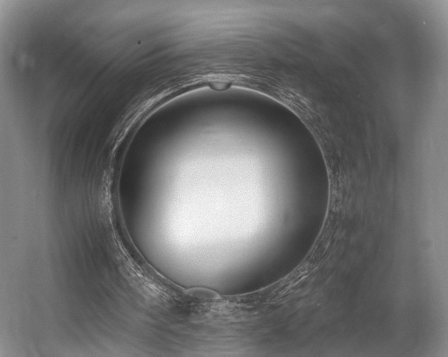 X0000057560098200509161014