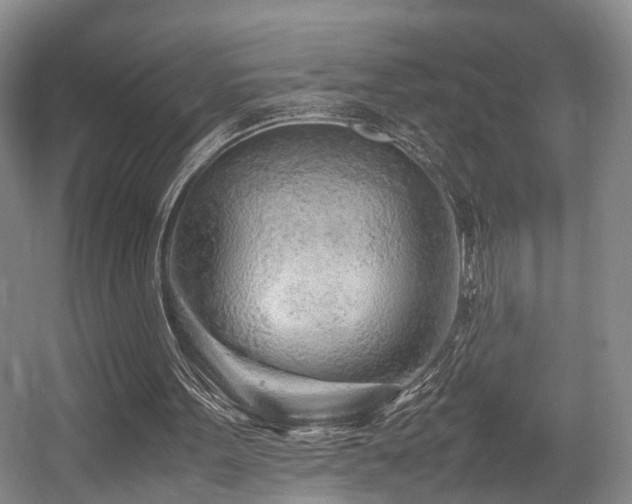X0000057560099200509161014