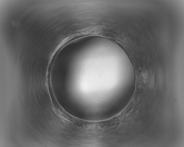 X0000057560100200509161014