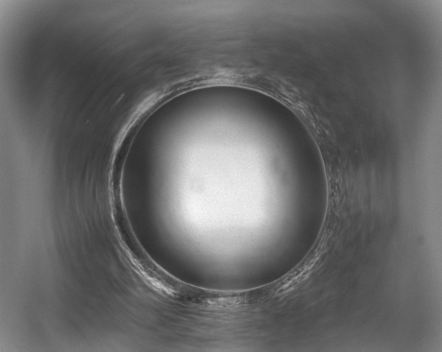 X0000057560102200509161014