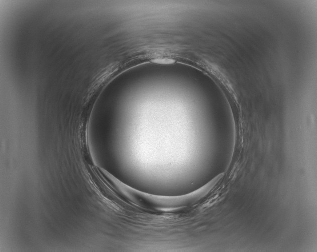X0000057560105200509161013