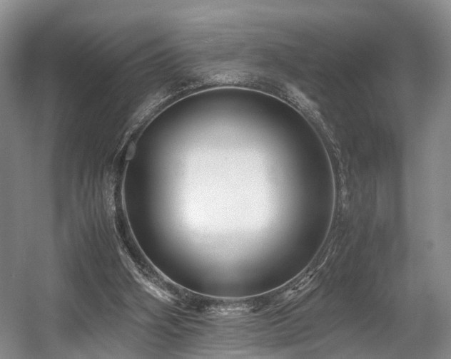 X0000057560106200509161013